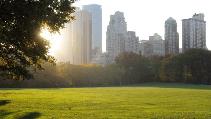 Sunlight streams through trees in Central Park, with Manhattan skyscrapers rising beyond the autumn foliage.
