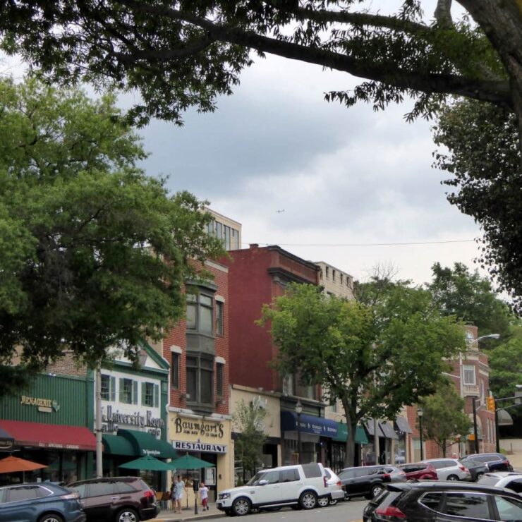 Tree-lined street in downtown Englewood, NJ with local shops, restaurants, parked cars, and historic architecture.