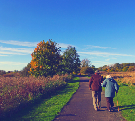Elderly couple walking arm-in-arm on a sunny path, surrounded by vibrant autumn trees and grassy fields.