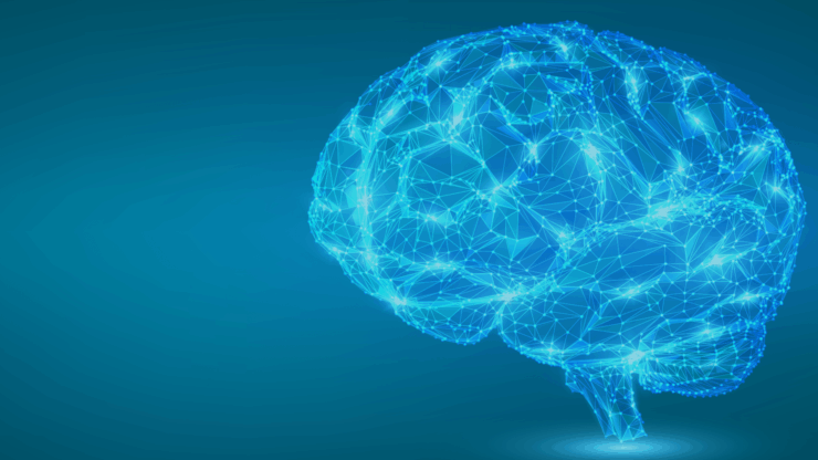 Brain illustration