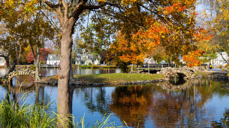 A serene autumn scene with a tree displaying vibrant orange leaves by a pond. Stone bridges cross the water, reflecting the colorful foliage above.