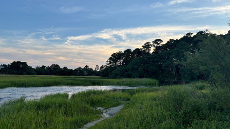 Mount Pleasant coastal marshland at sunset with green grass, calm water, and a tree-lined horizon under a colorful sky.