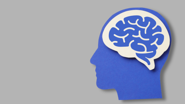 Silhouette of a blue head with a white brain outlined inside, set against a gray background.
