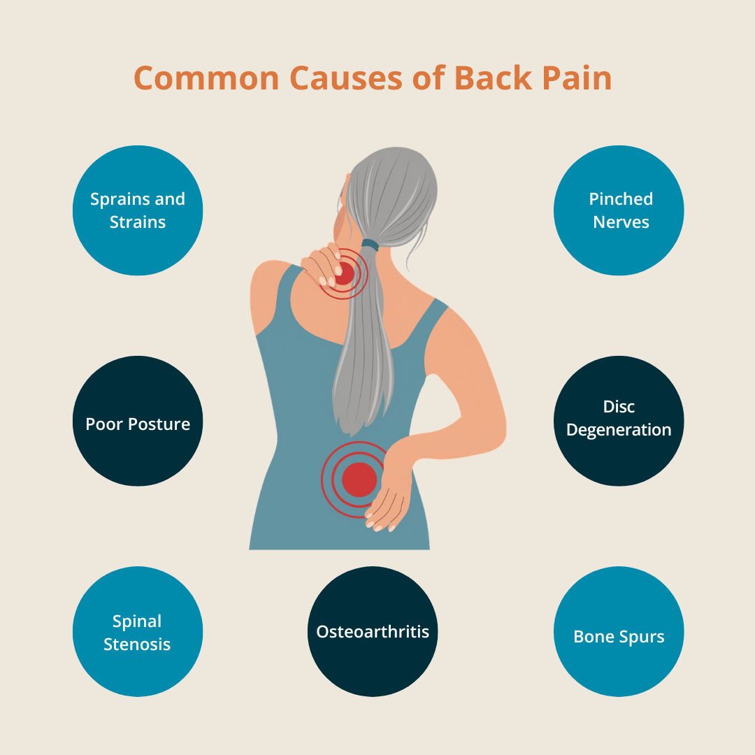 Illustration showing back view of woman with hand on neck and lower back. Circles list common back pain causes: poor posture, osteoarthritis, sprains.